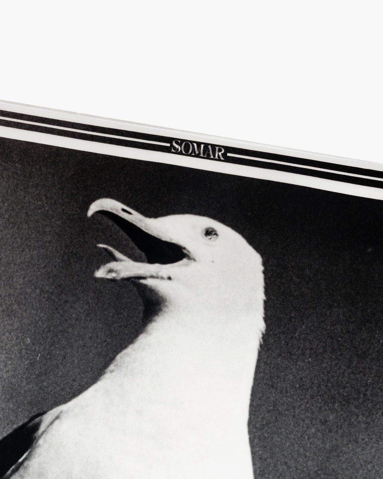 ONE-EYED SEABIRD SILK BANDANA
